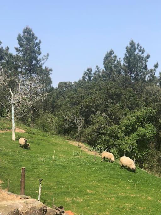 הוילה אובידוס Quinta Da Casa Azul מראה חיצוני תמונה