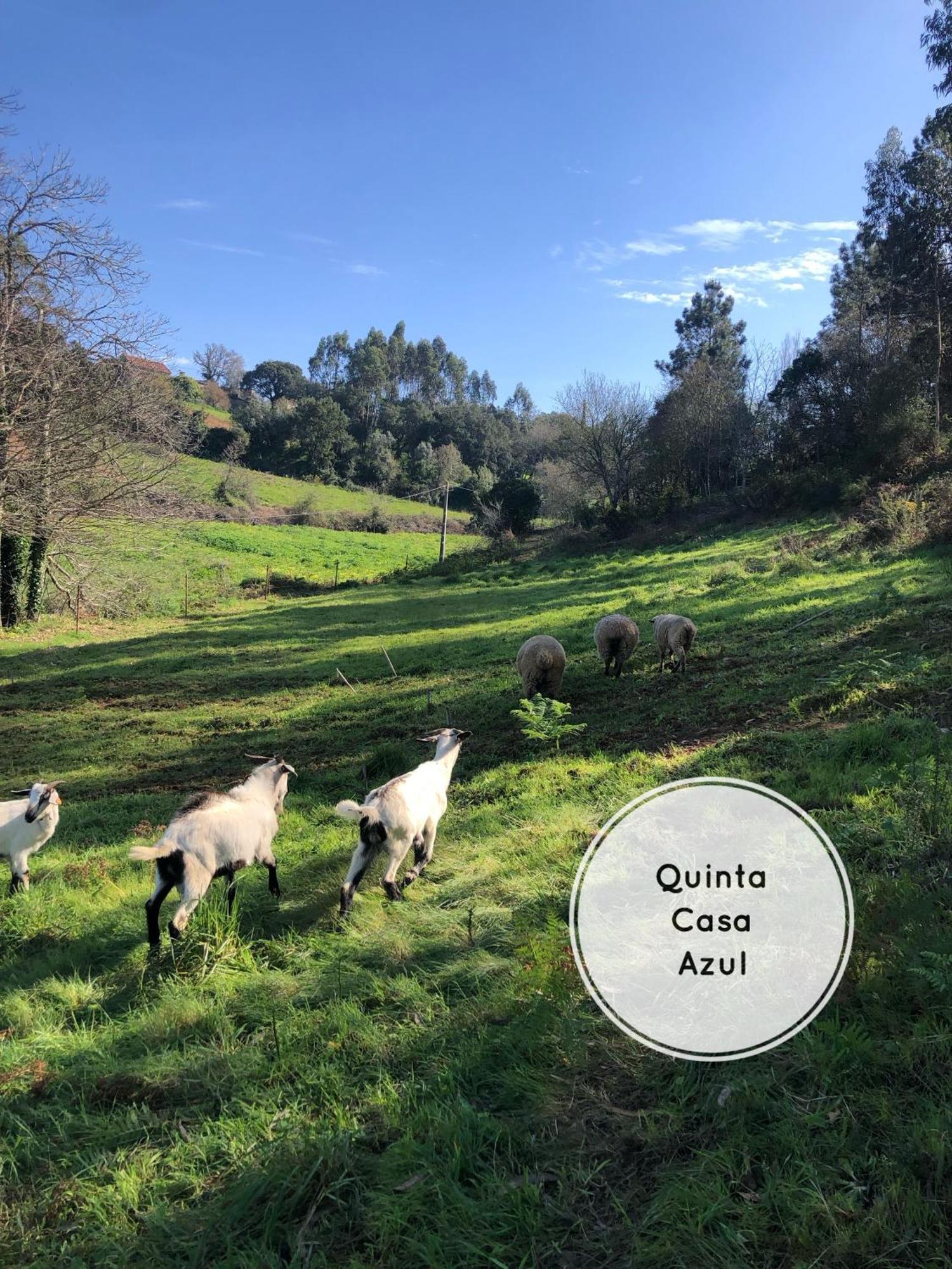 הוילה אובידוס Quinta Da Casa Azul מראה חיצוני תמונה